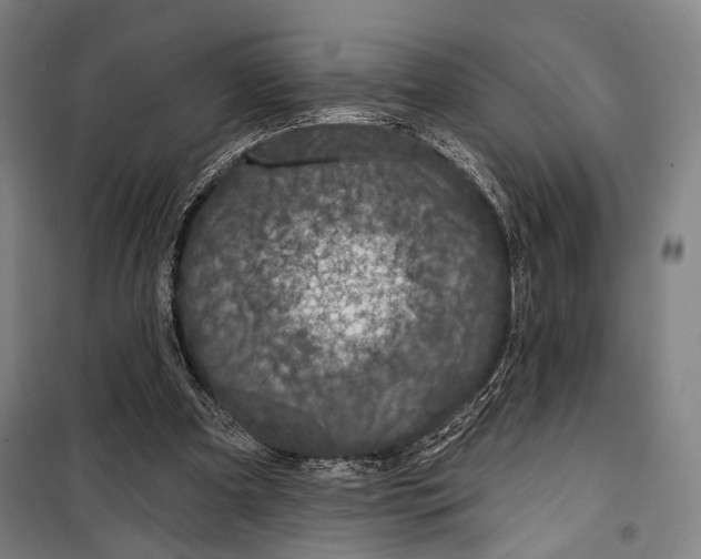 X0000099500297200806121422