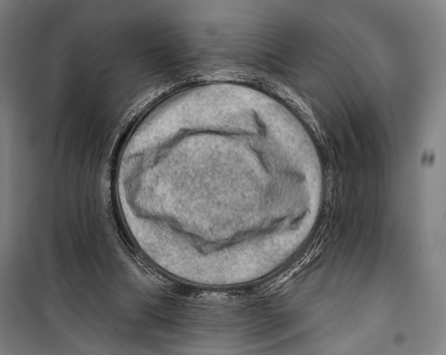 X0000099500298200806121422