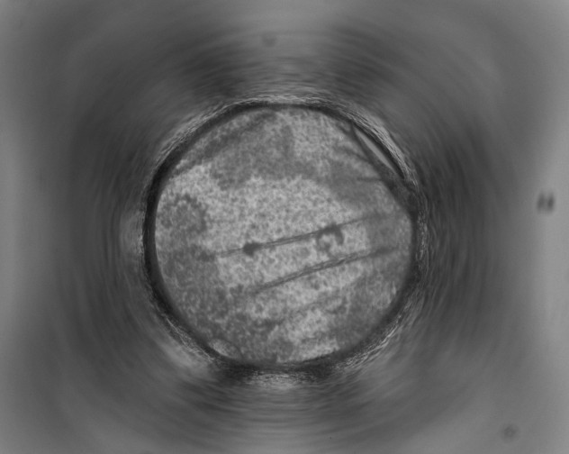 X0000099500299200806121422