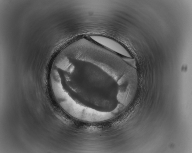 X0000099500303200806121421