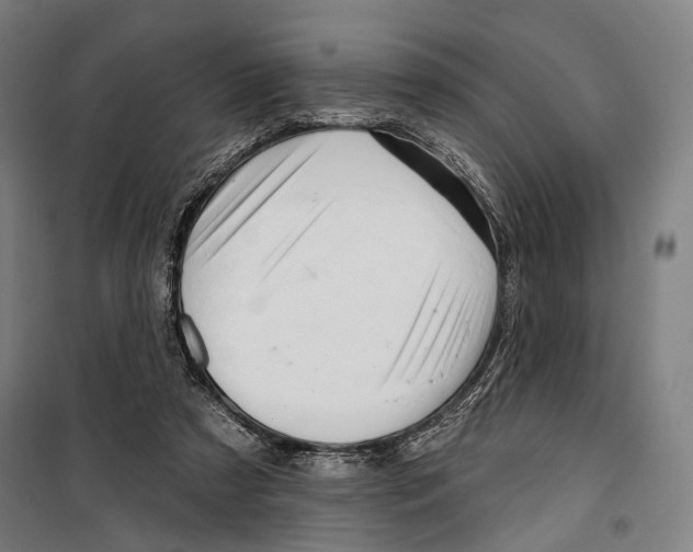 X0000099500305200806121421