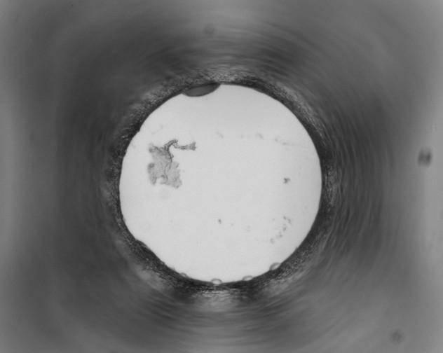 X0000099500307200806121421