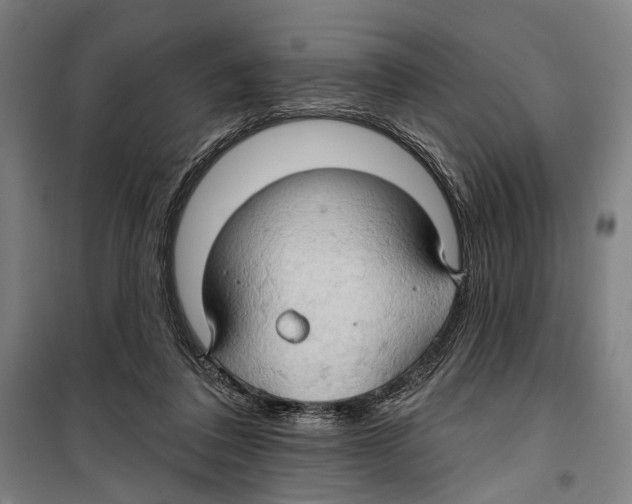 X0000099500308200806121421