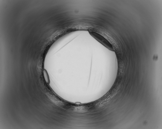 X0000099500309200806121421