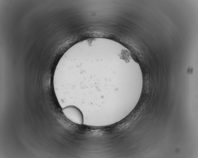 X0000099500310200806121421