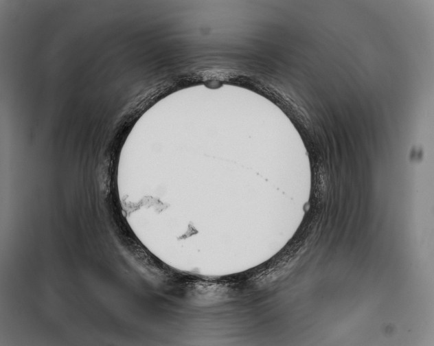 X0000099500311200806121421