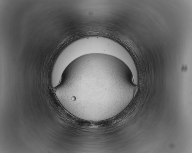 X0000099500312200806121421