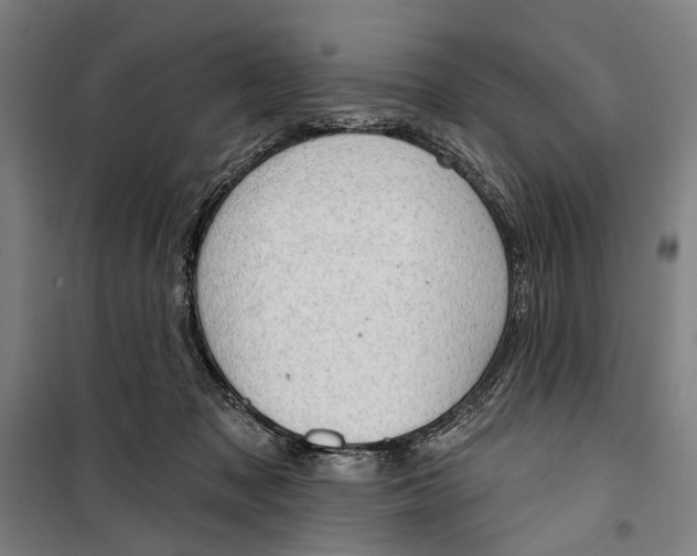 X0000099500317200806121421