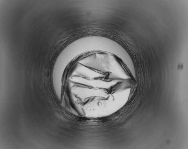 X0000099500320200806121421