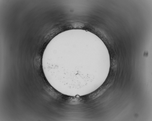 X0000099500321200806121421