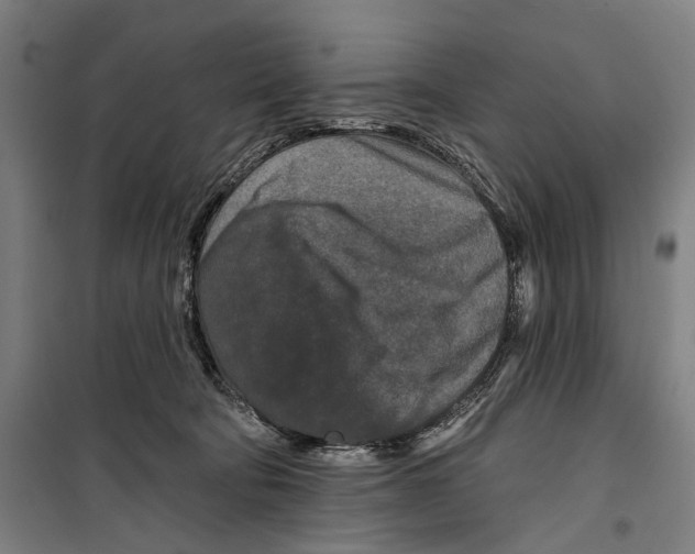 X0000099500322200806121421