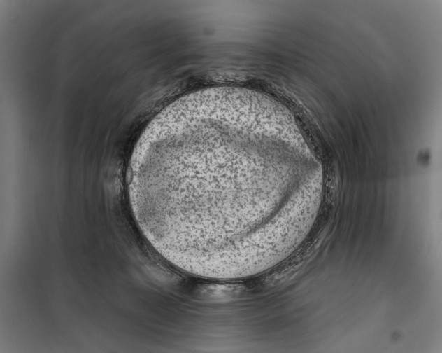 X0000099500323200806121421