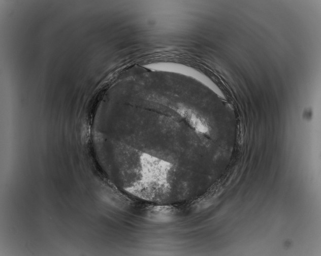 X0000099500324200806121421