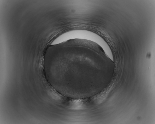 X0000099500325200806121421