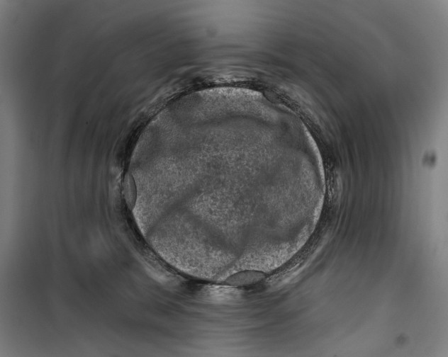 X0000099500327200806121421