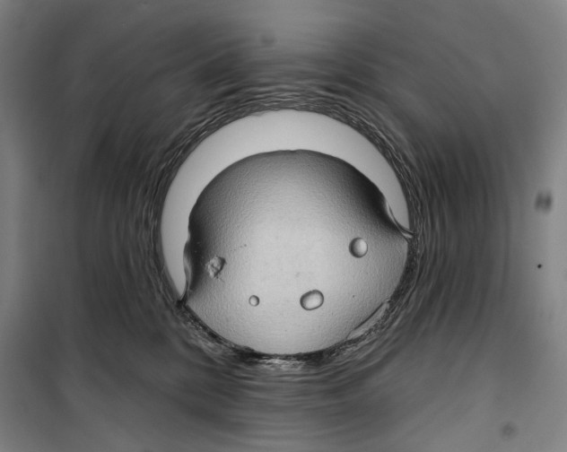 X0000099500328200806121421