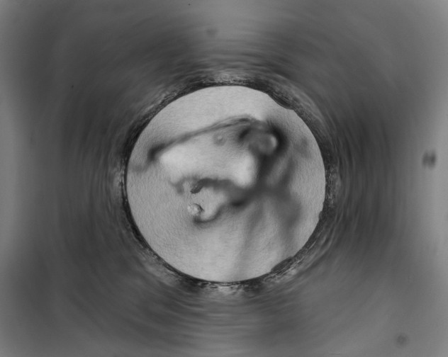 X0000099500329200806121421