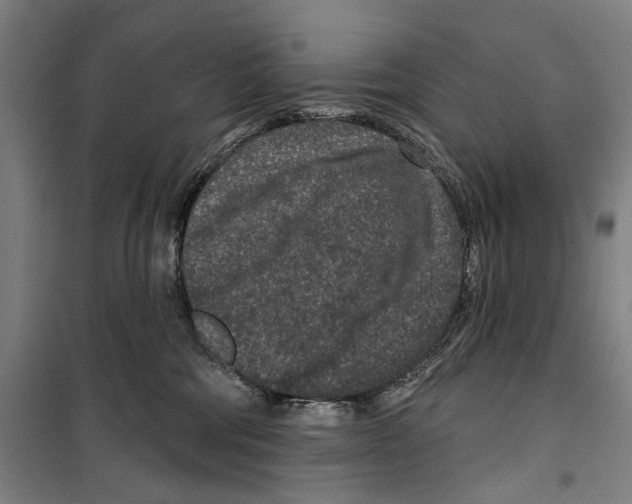 X0000099500330200806121421