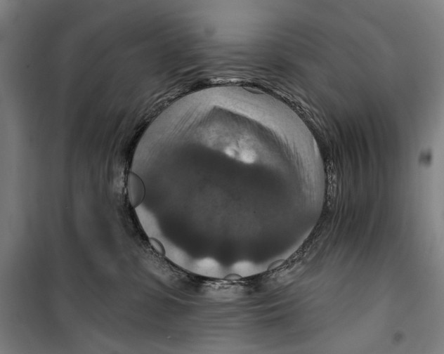 X0000099500331200806121421