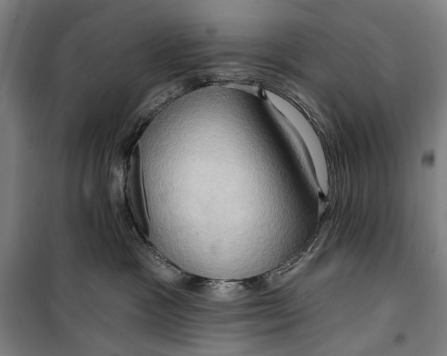 X0000099500333200806121421