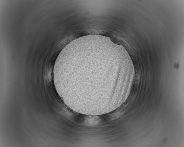 X0000099500334200806121421