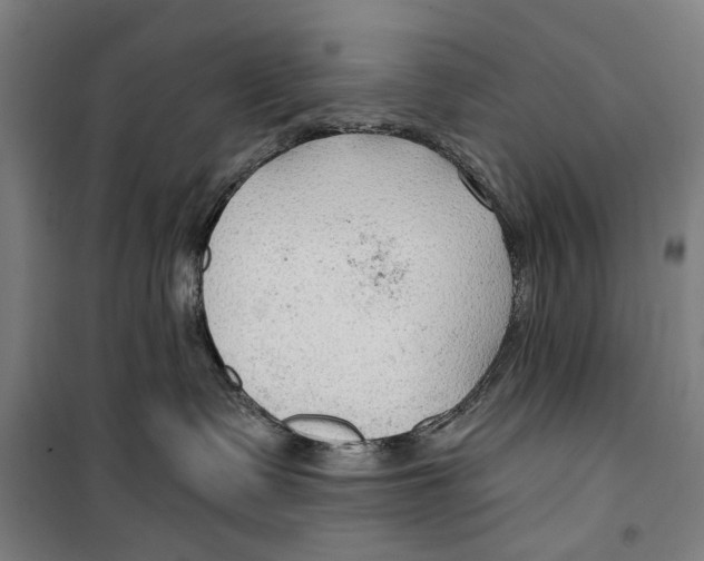 X0000099500335200806121421