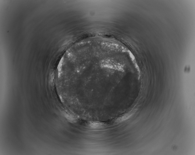 X0000099500336200806121421