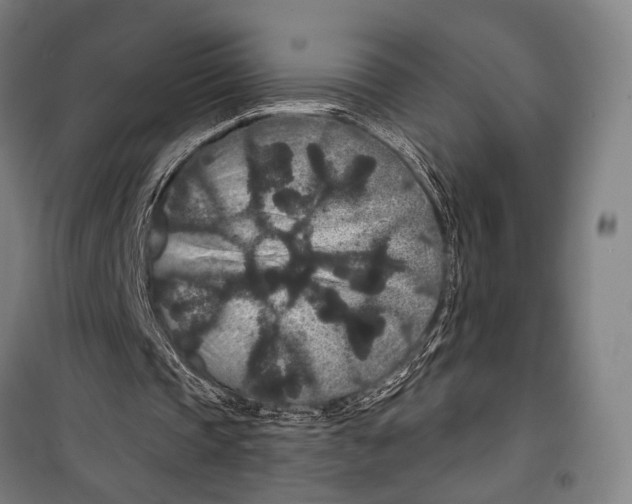 X0000099500337200806121420