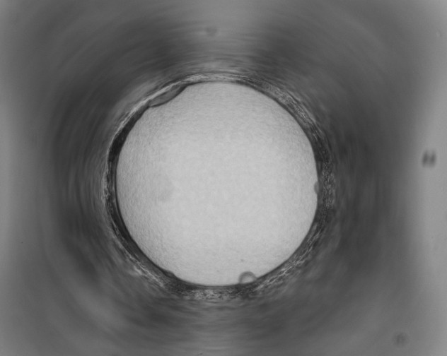 X0000099500338200806121420