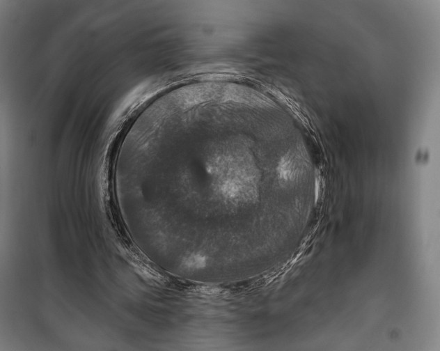 X0000099500339200806121420