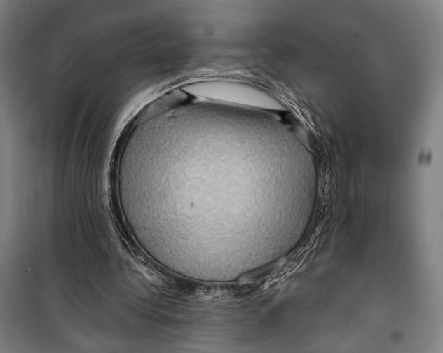 X0000099500340200806121420