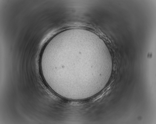 X0000099500341200806121420