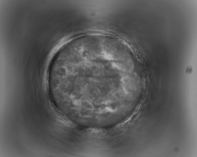 X0000099500343200806121420