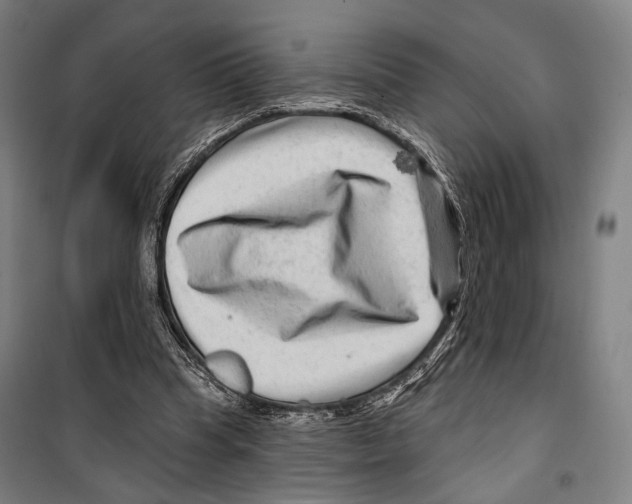 X0000099500345200806121420