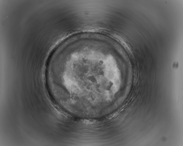 X0000099500346200806121420