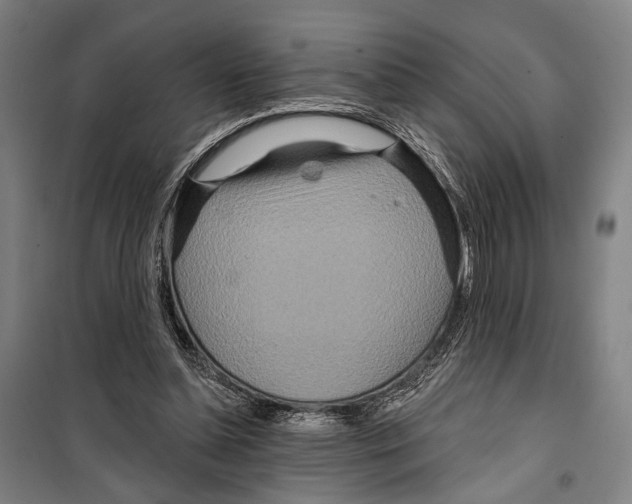 X0000099500348200806121420