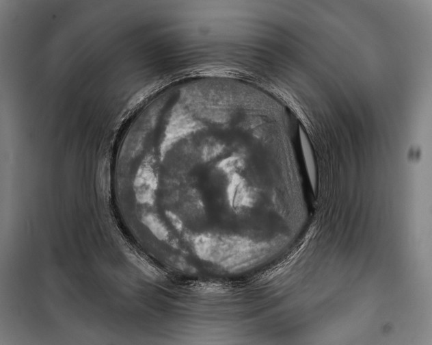 X0000099500349200806121420