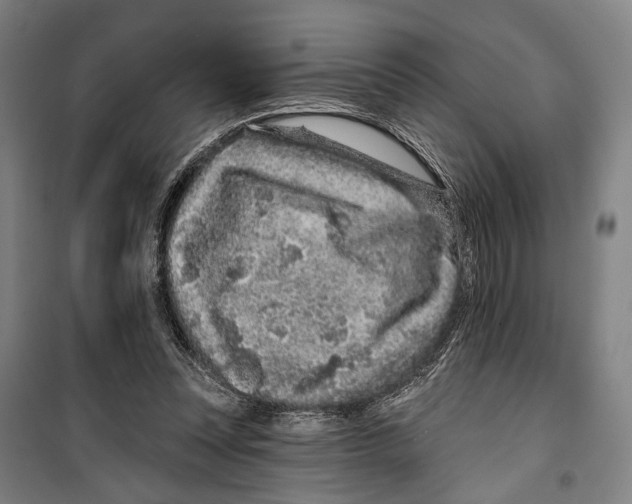 X0000099500351200806121420