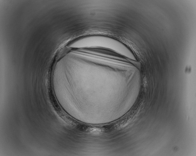 X0000099500352200806121421