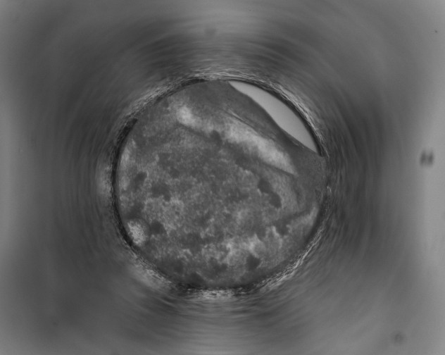 X0000099500353200806121421