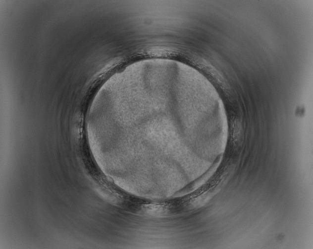 X0000099500356200806121421