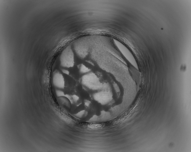 X0000099500357200806121421