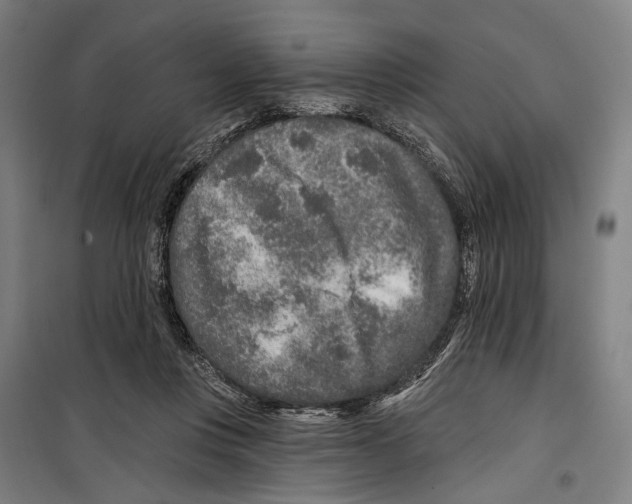 X0000099500359200806121421