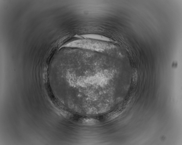 X0000099500360200806121421