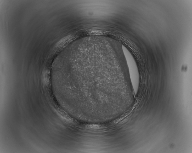 X0000099500361200806121421