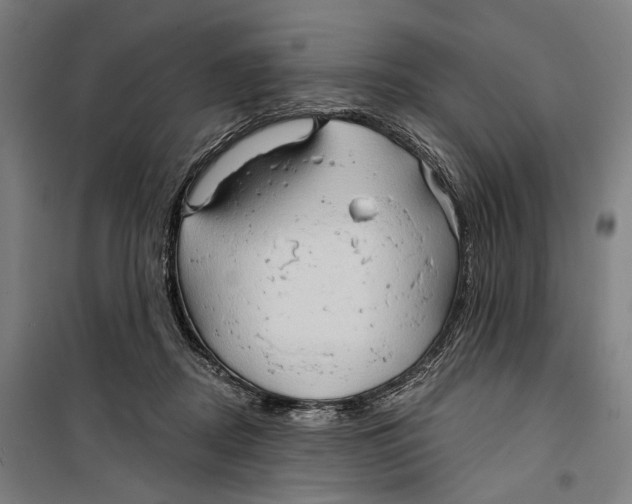 X0000099500362200806121421