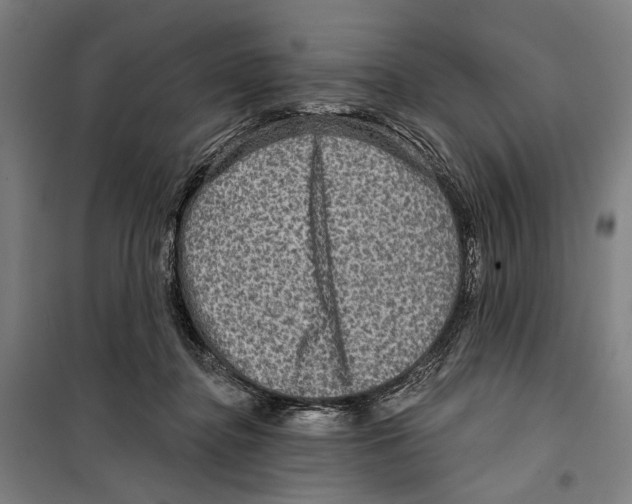 X0000099500364200806121421