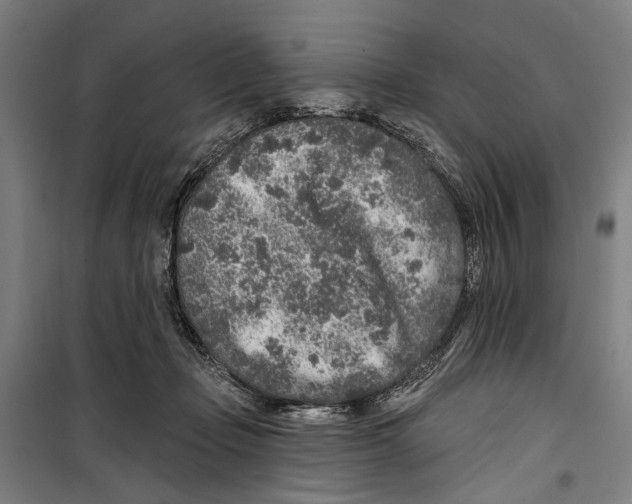 X0000099500365200806121421