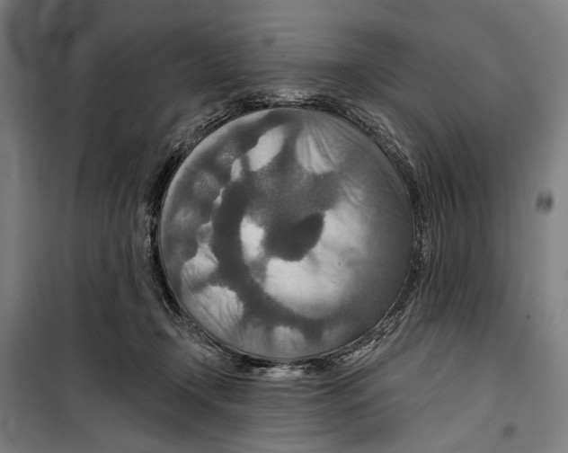 X0000099500366200806121421