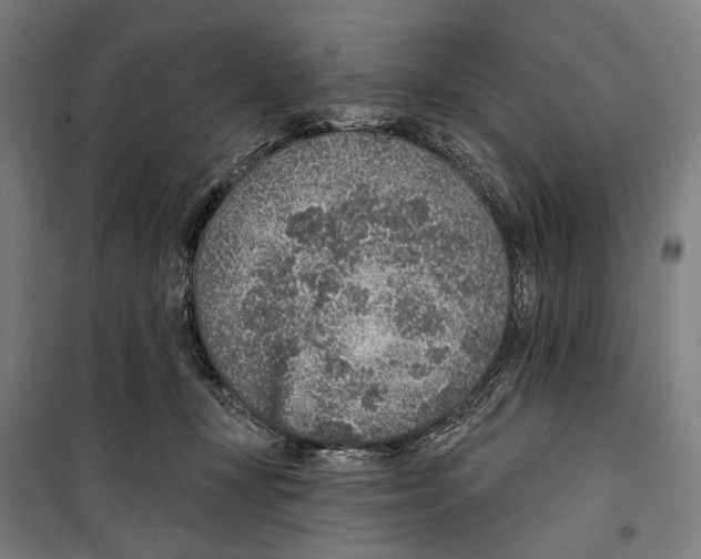 X0000099500367200806121421